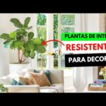 Planta artificial Monstera grande: la opción perfecta para decorar tu hogar