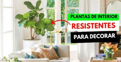 Planta artificial Monstera grande: la opción perfecta para decorar tu hogar
